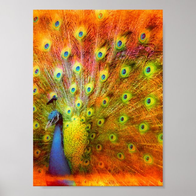 Peacock Digitale Kunst Poster (Vorne)