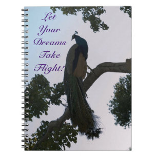 Peacock Dreams Notebook Notizblock
