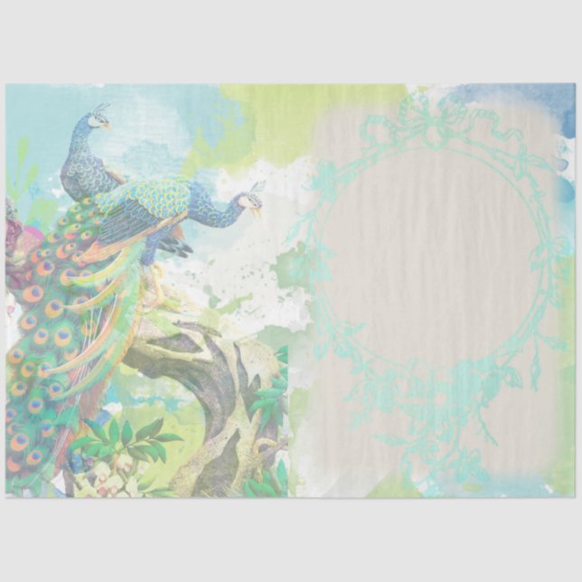 Peacock Ephemera 3 Seidenpapier (Vorderseite)