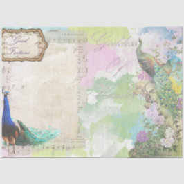 Peacock Ephemera 5 Seidenpapier