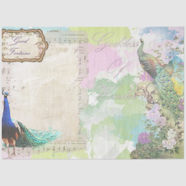 Peacock Ephemera 5 Seidenpapier (Vorderseite)