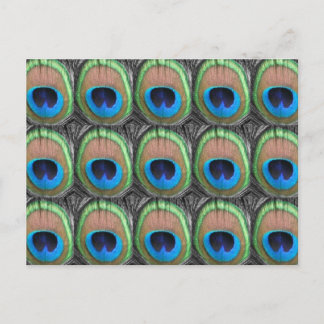 Peacock Eyes Postkarte