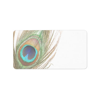 Peacock Feather Address Label Adressaufkleber