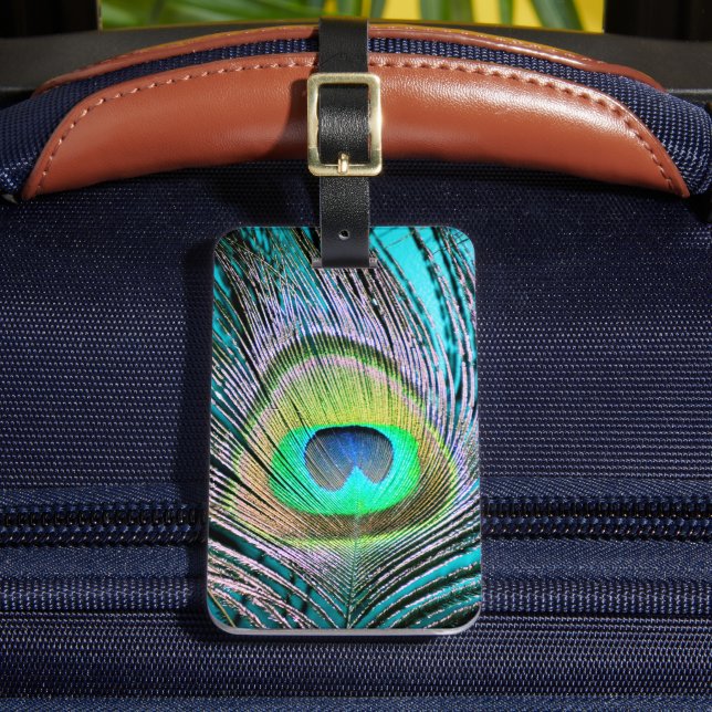 Peacock Feather auf Türkis Gepäckanhänger (Vorderseite Insitu 2)