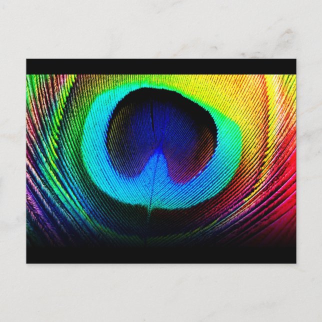 Peacock Feather Design Postkarte (Vorderseite)