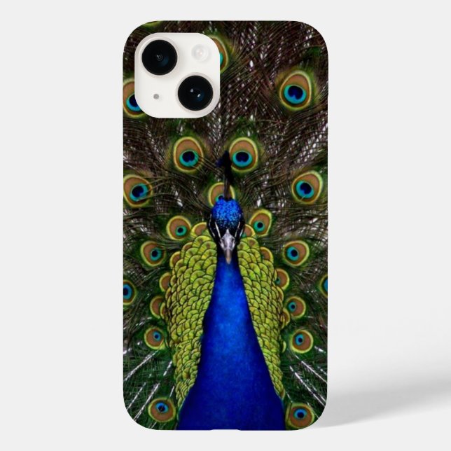 Peacock Feather Display Case-Mate iPhone Hülle (Rückseite)