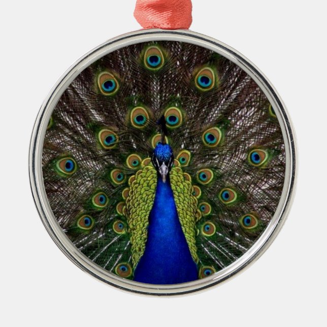 Peacock Feather Display Photo Ornament Aus Metall (Vorne)