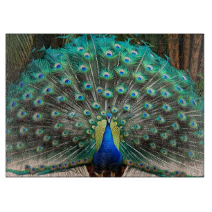 Peacock Feather Fanning Schneidebrett