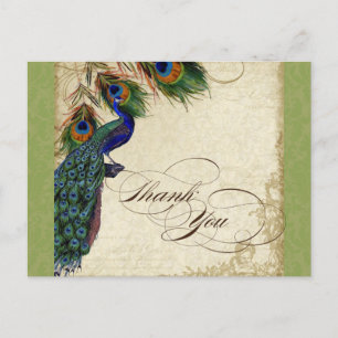 Peacock & Feather Formal Danke, dass Sie Lime Gree Postkarte