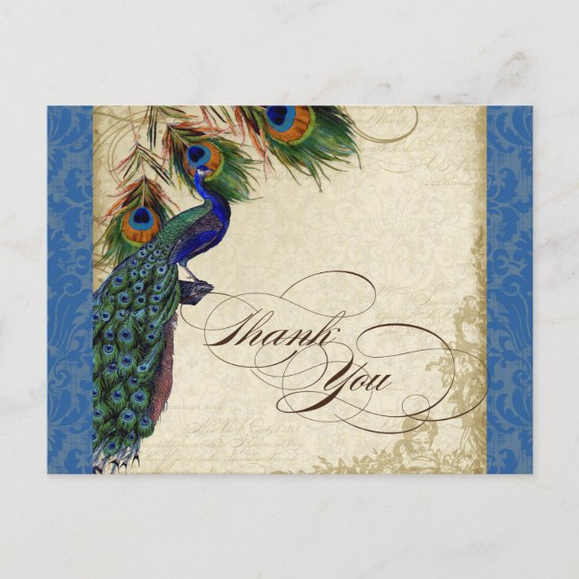 Peacock & Feather Formal Thank You Note Royal Blue Postkarte (Vorderseite)