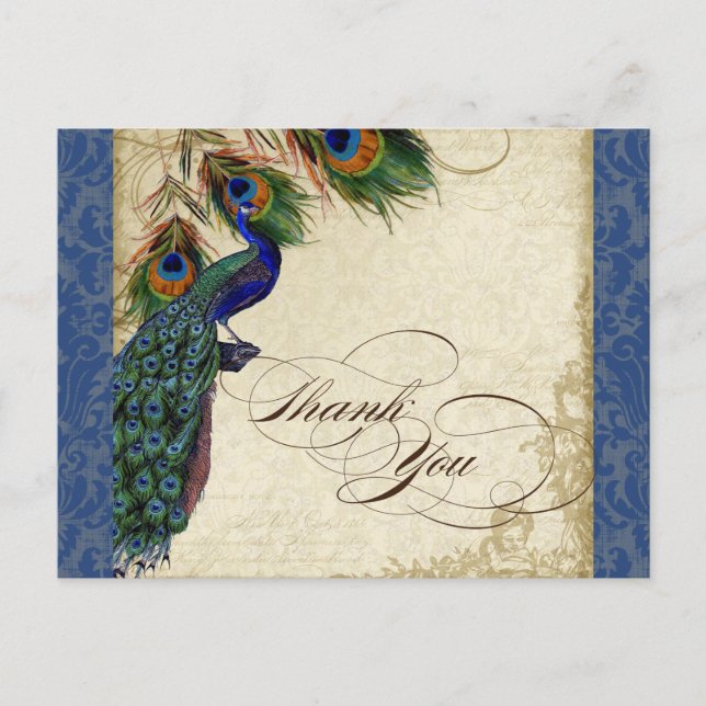 Peacock & Feather Formal Vielen Dank, dass Sie Nav Postkarte (Vorderseite)