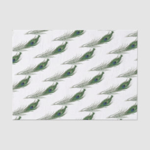 Peacock Feather Gemustert Geeignet Seidenpapier
