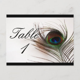 Peacock Feather Glamour Tischnummer