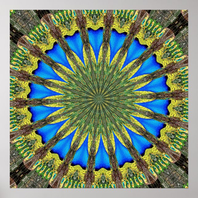 Peacock Feather Kaleidoskop 3 Poster (Vorne)