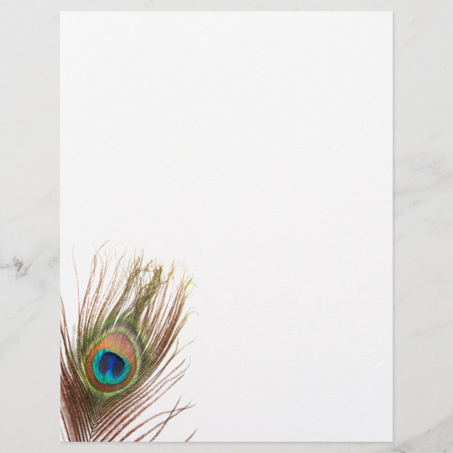 Peacock Feather Letterhead (Vorderseite)