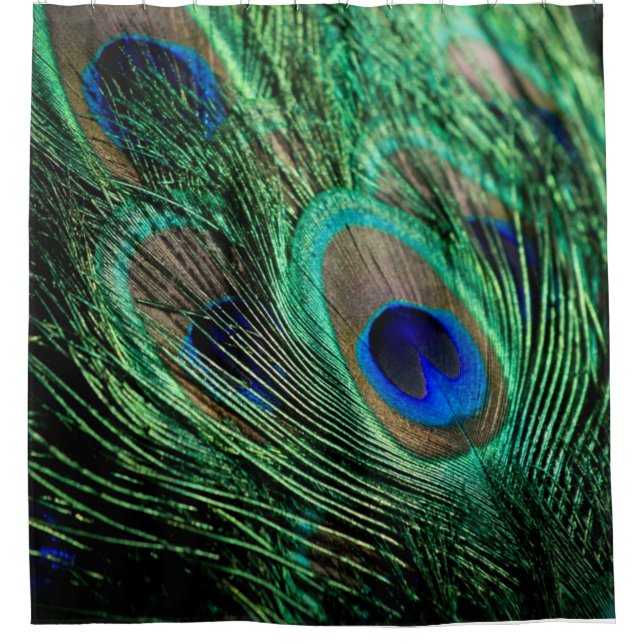 Peacock Feather Lucky Duschvorhang (Vorderseite)