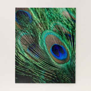 Peacock Feather Lucky Puzzle