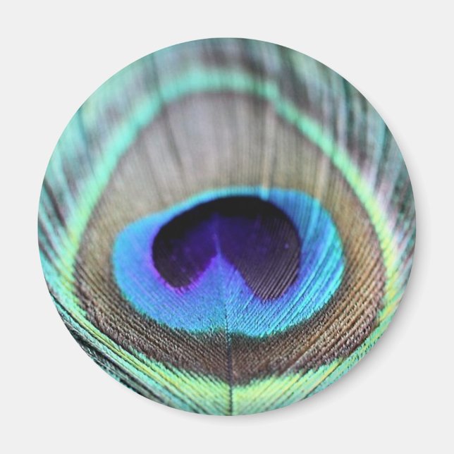 Peacock Feather Magnet (Vorne)