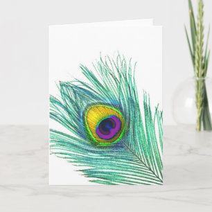 Peacock Feather note cards Karte