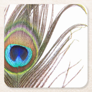 Peacock Feather Paper Untersetzer