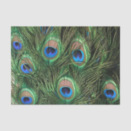 Peacock Feather Seidenpapier
