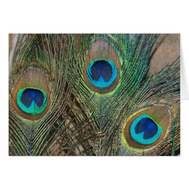 Peacock Feather Wedding (Vorderseite (Horizontal))