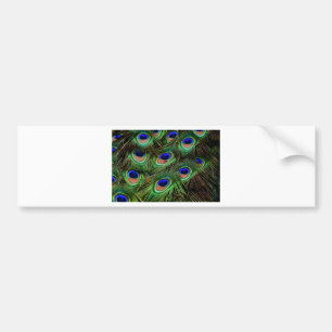 Peacock Feathers Autoaufkleber
