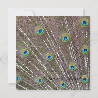 Peacock Feathers Birthday Einladung