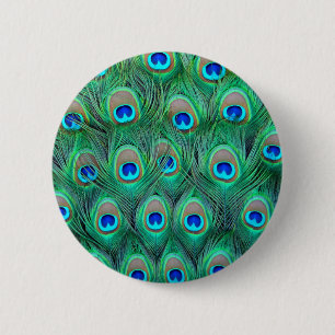 Peacock Feathers Button