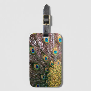 Peacock Feathers Emerald Green und Gold Gepäckanhänger