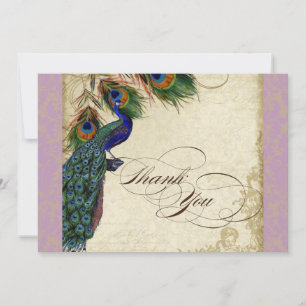 Peacock Feathers Formal danke Ihnen Notes Lavender Mitteilungskarte