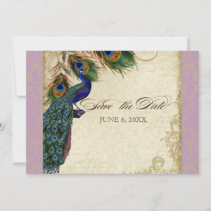 Peacock & Feathers Formal Save the Date Aqua Blue Einladung