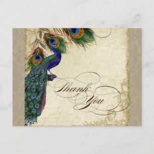 Peacock & Feathers Formal Vielen Dank, Aqua Blue Postkarte