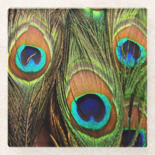 Peacock Feathers Glasuntersetzer