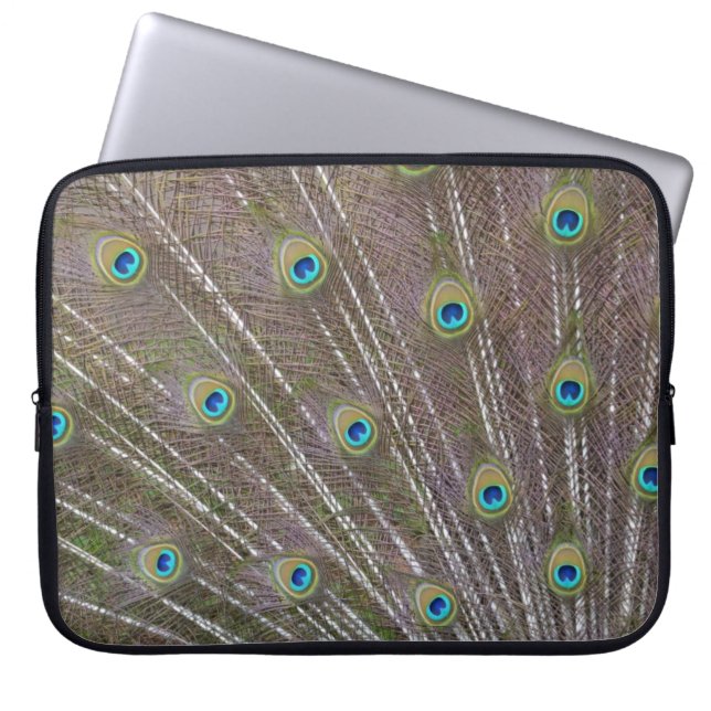 Peacock Feathers Laptopschutzhülle (Vorderseite)