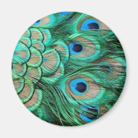 PEACOCK FEATHERS