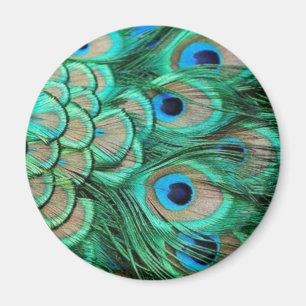 PEACOCK FEATHERS MAGNET