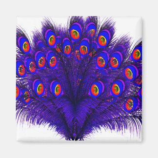 Peacock Feathers Magnet