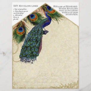 Peacock & Feathers Matching DIY Envelope Liners Flyer