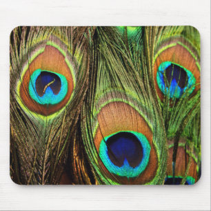 Peacock Feathers Mousepad