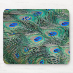 Peacock Feathers Mousepad