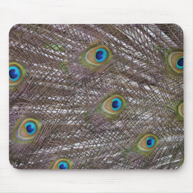 Peacock Feathers Mousepad (Vorne)