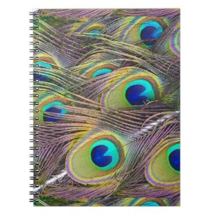 Peacock Feathers Notizblock