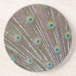 Peacock Feathers Sandstein Untersetzer