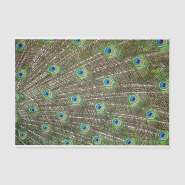 Peacock Feathers Seidenpapier (Vorderseite)