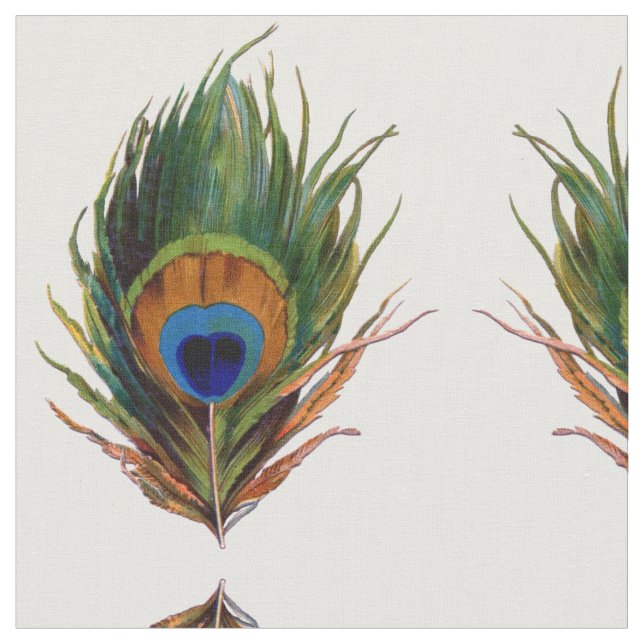 Peacock Feathers Stoff (Nahaufnahme)