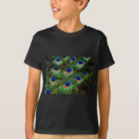 Peacock Feathers