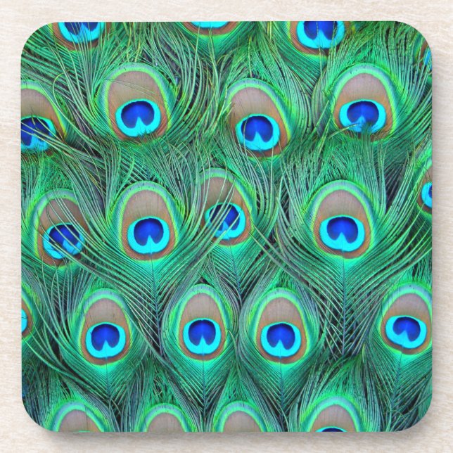 Peacock Feathers Untersetzer (Vorderseite)