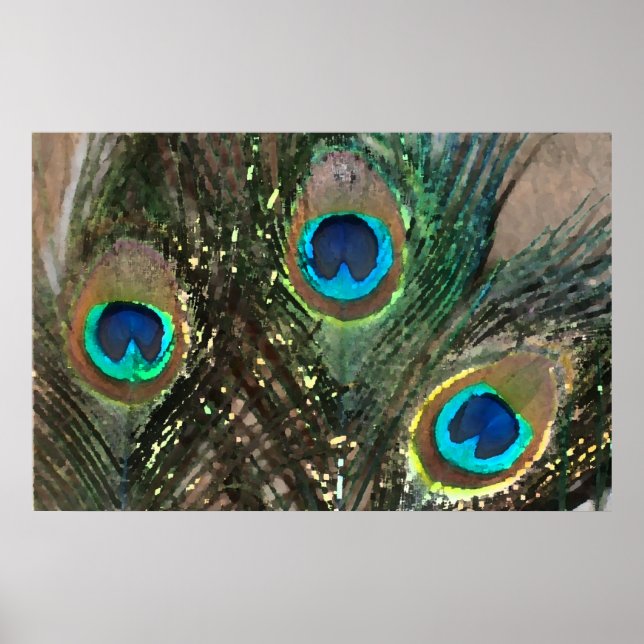 Peacock Feathers with Rocks Poster (Vorne)
