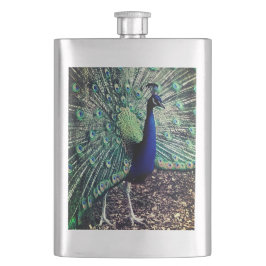 Peacock Flachmann